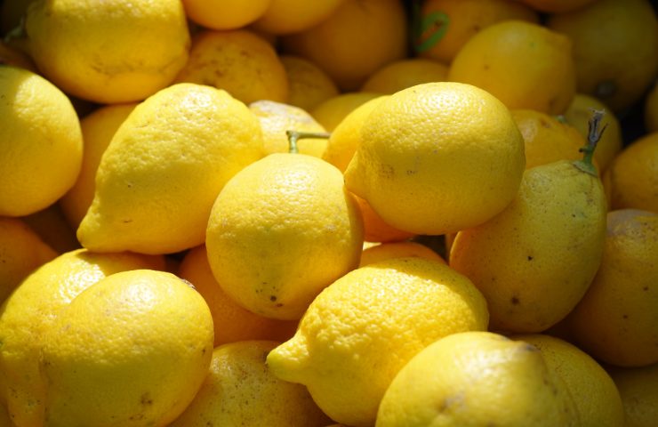 Tanti limoni ammassati
