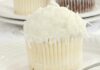 Cupcake al cocco con crema pasticcera