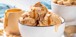 Gelato proteico senza gelatiera- RicettaSprint