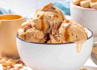 Gelato proteico senza gelatiera- RicettaSprint
