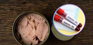 Una scatoletta di tonno aperta e delle provette per test di istamina