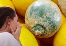 Muffa nella frutta come rimuoverla - RicettaSprint