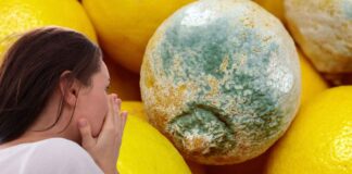 Muffa nella frutta come rimuoverla - RicettaSprint