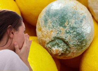 Muffa nella frutta come rimuoverla - RicettaSprint