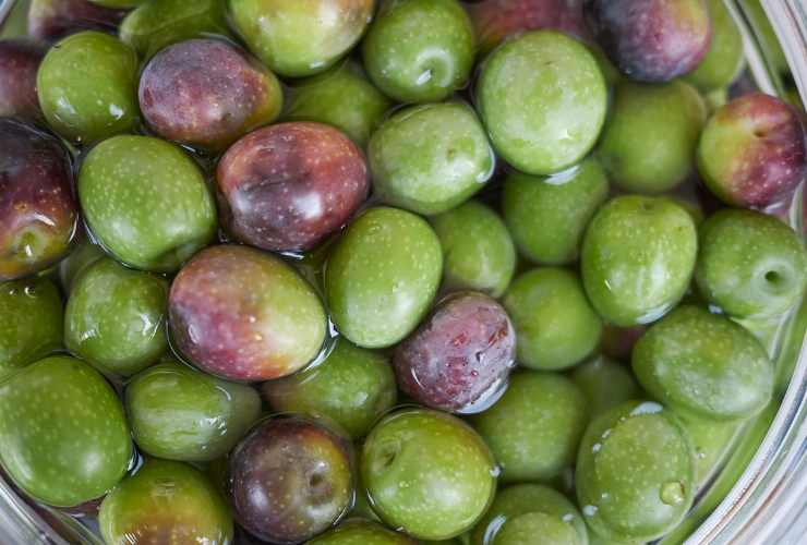 Olive schiacciate ricetta della nonna - Ricettasprint.it