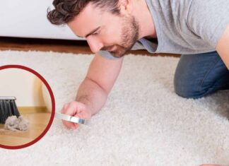 Polvere e acari della polvere come eliminare - Ricettasprint.it