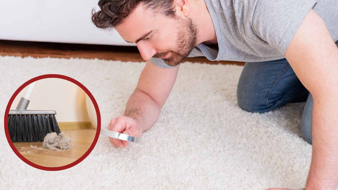 Polvere e acari della polvere come eliminare - Ricettasprint.it