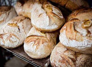 Riscaldare il pane ecco come fare - RicettaSprint