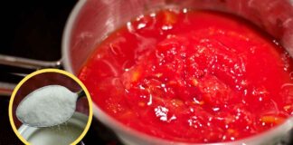 Salsa di pomodoro non mettere lo zucchero - RicettaSprint