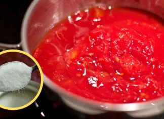 Salsa di pomodoro non mettere lo zucchero - RicettaSprint
