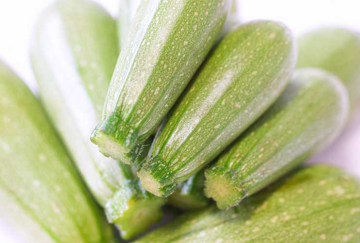 Spiedini di zucchine leggerissimi - RicettaSprint