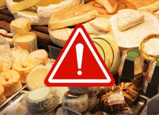 Diversi formaggi esposti in vendita