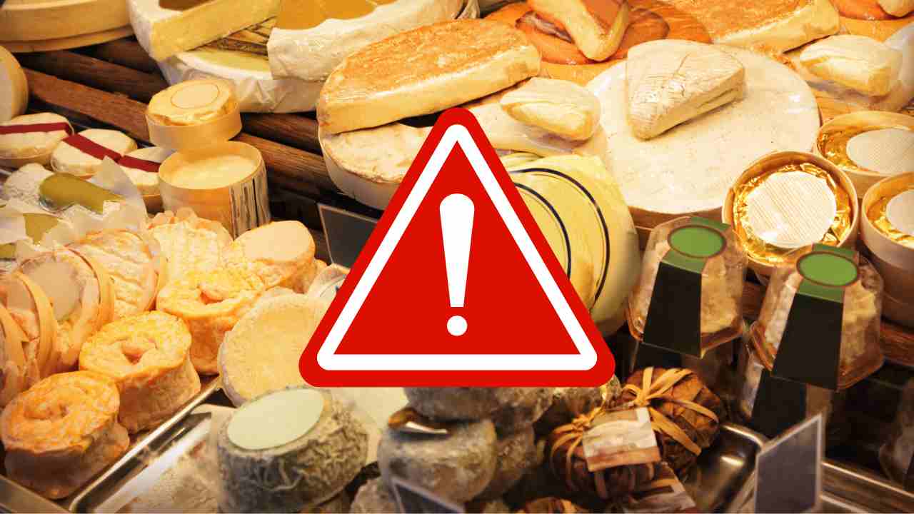 Diversi formaggi esposti in vendita