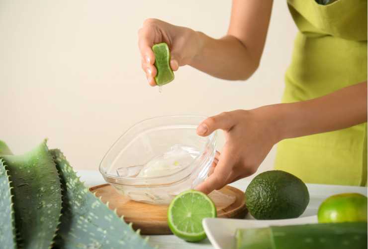 Aloe vera per trattare l'irritazione - Ricettasprint.it