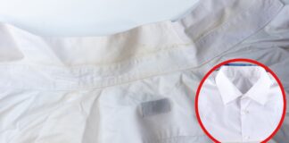 Colletti camicie ingiallite - Ricettasprint.it