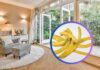 Bucce di banana ed interno di una casa