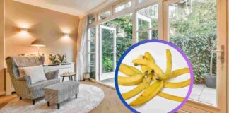 Bucce di banana ed interno di una casa