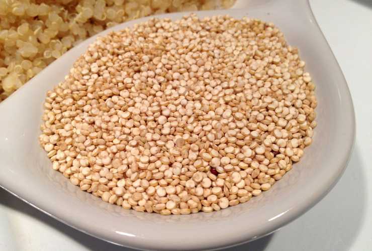 Insalata di quinoa - Ricettasprint.it