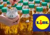 Bottiglie di olio con un salvadanaio ed il logo Lidl