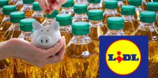 Bottiglie di olio con un salvadanaio ed il logo Lidl