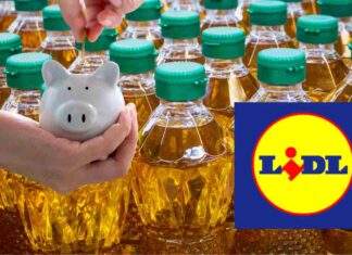 Bottiglie di olio con un salvadanaio ed il logo Lidl