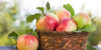 Quanti zuccheri ci sono davvero in una mela? La verità che nessuno ti ha mai detto Zucchero nelle mele - Ricettasprint.it