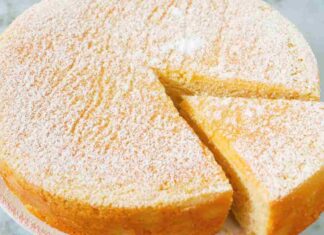 torta leggera allo yogurt ricettasprint.it