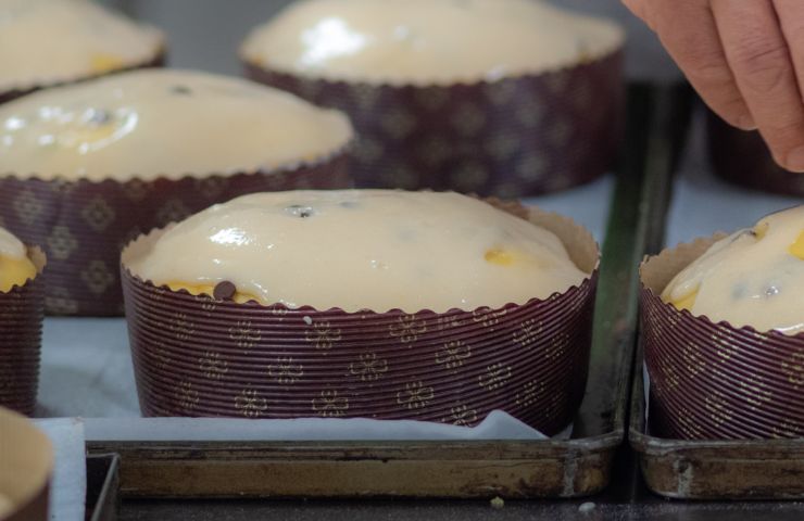 Panettoni artigianali