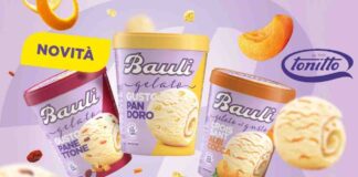 Il pandoro si fa gelato: la sorpresa dell’anno che unisce inverno ed estate Bauli panettone gelato - RicettaSprint