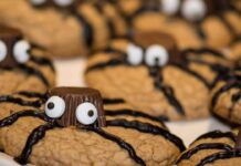 Halloween cookies spider | i biscottini spaventosi da fare in pochissimi minuti | noi siamo già pronti cookies di Halloween
