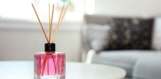 Deodorante per ambiente 3 euro - RicettaSprint