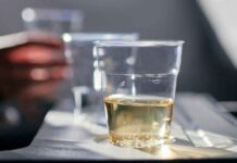 In volo brilli la novità - RicettaSprint