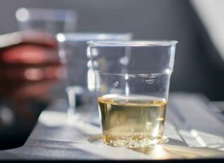 In volo brilli la novità - RicettaSprint