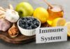 Rafforzare sistema immunitario alimenti Ricettasprint.it