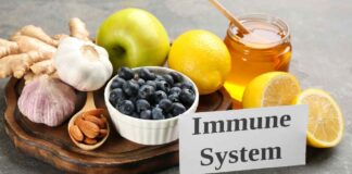 Il segreto per un sistema immunitario di ferro? Tutto sta in quello che porti a tavola Rafforzare sistema immunitario alimenti Ricettasprint.it