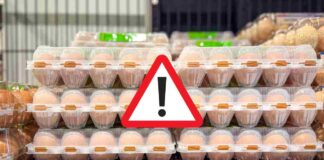 Confezioni di uova in un supermercato