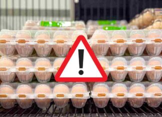 Confezioni di uova in un supermercato