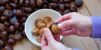 Sbucciare castagne in poco tempo - Ricettasprint.it