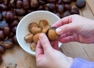 Sbucciare castagne in poco tempo - Ricettasprint.it