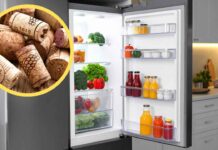 Metti un solo tappo di sughero in frigo e fa miracoli incredibili: ma quale aceto e aceto… Tappi in sughero in frigorifero - RicettaSprint