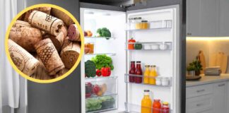 Tappi in sughero in frigorifero - RicettaSprint