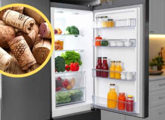 Metti un solo tappo di sughero in frigo e fa miracoli incredibili: ma quale aceto e aceto… Tappi in sughero in frigorifero - RicettaSprint