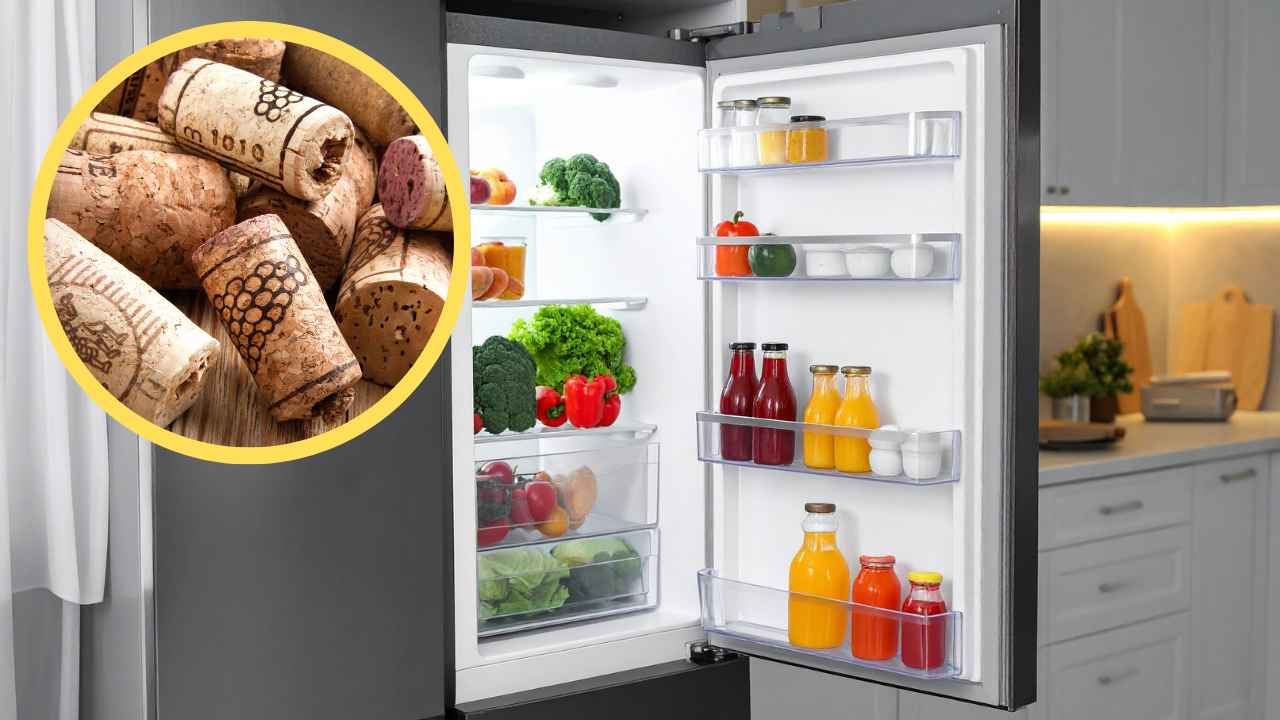 Tappi in sughero in frigorifero - RicettaSprint