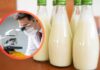 Tre bottiglie di latte ed un uomo al microscopio