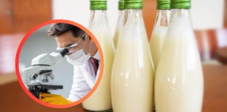 Tre bottiglie di latte ed un uomo al microscopio
