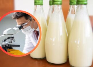 Tre bottiglie di latte ed un uomo al microscopio