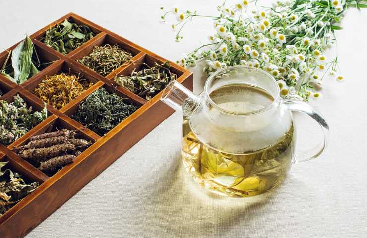 Tisana alle erbe