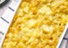 pasta e cavolo al forno ricettasprint