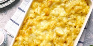 Ho fatto la pasta e cavolfiore e poi l’ho buttata nel forno: non ti dico che bontà ne è uscita fuori pasta e cavolo al forno ricettasprint