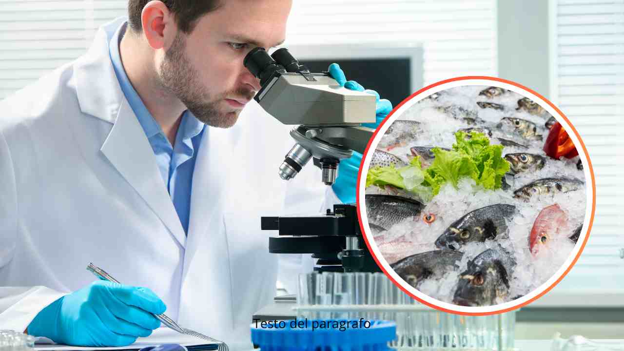 Uomo che usa un microscopio e pesce fresco in piccolo
